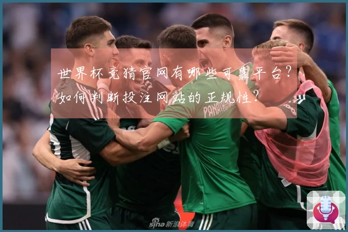 世界杯竞猜官网有哪些可靠平台？如何判断投注网站的正规性？