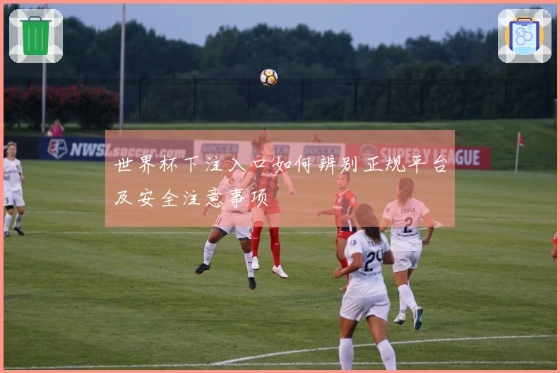 世界杯下注入口如何辨别正规平台及安全注意事项