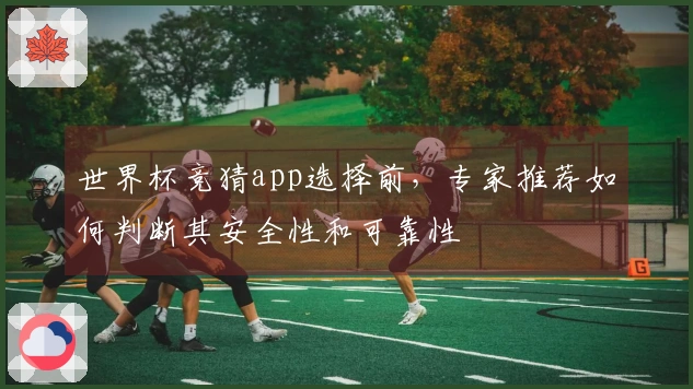 世界杯竞猜app选择前，专家推荐如何判断其安全性和可靠性