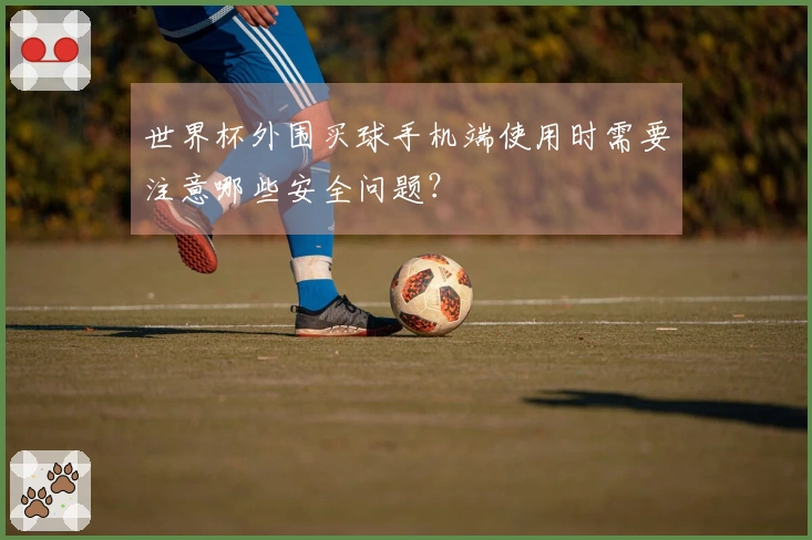 世界杯外围买球手机端使用时需要注意哪些安全问题？