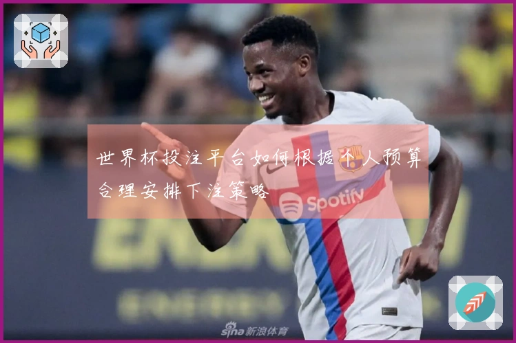 世界杯投注平台如何根据个人预算合理安排下注策略