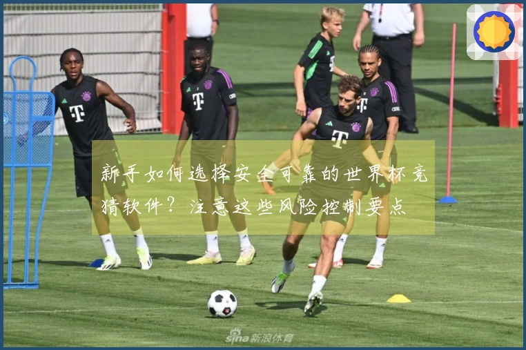 新手如何选择安全可靠的世界杯竞猜软件？注意这些风险控制要点