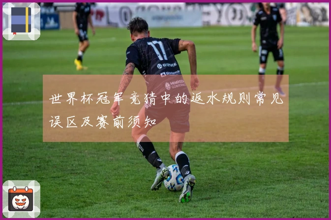 世界杯冠军竞猜中的返水规则常见误区及赛前须知