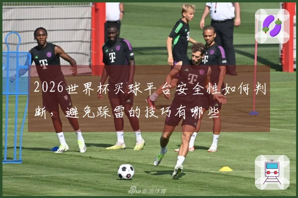 2026世界杯买球平台安全性如何判断，避免踩雷的技巧有哪些