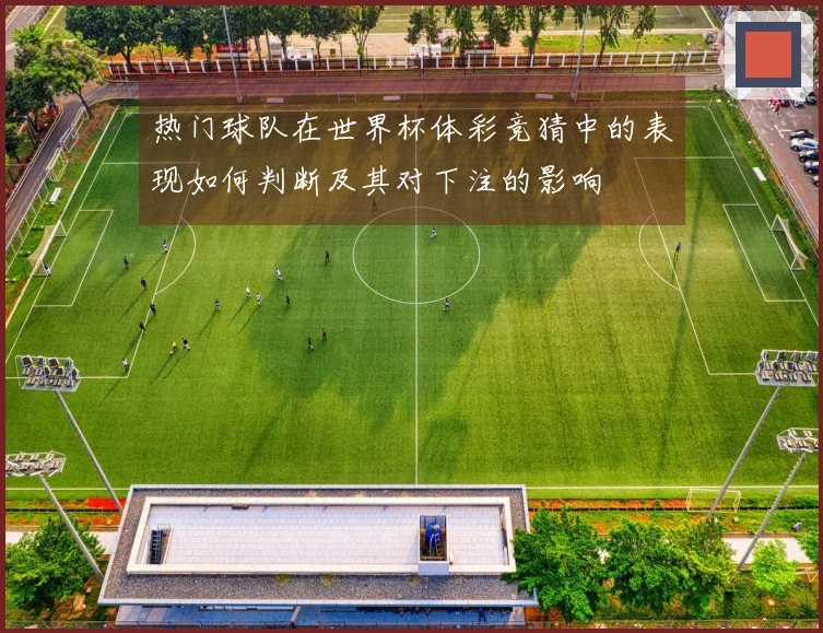 热门球队在世界杯体彩竞猜中的表现如何判断及其对下注的影响