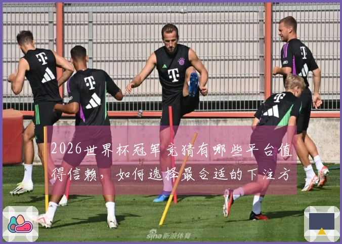 2026世界杯冠军竞猜有哪些平台值得信赖，如何选择最合适的下注方式？