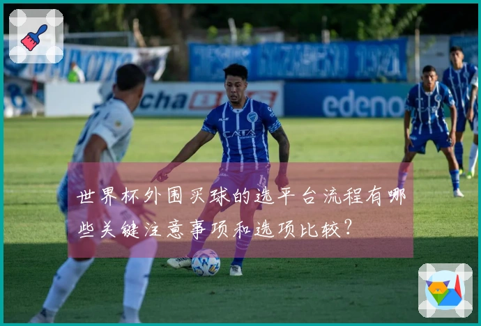 世界杯外围买球的选平台流程有哪些关键注意事项和选项比较？