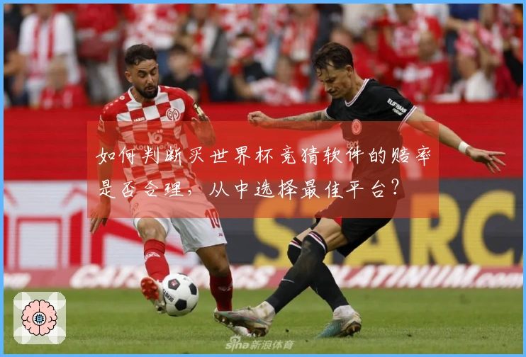 如何判断买世界杯竞猜软件的赔率是否合理，从中选择最佳平台？