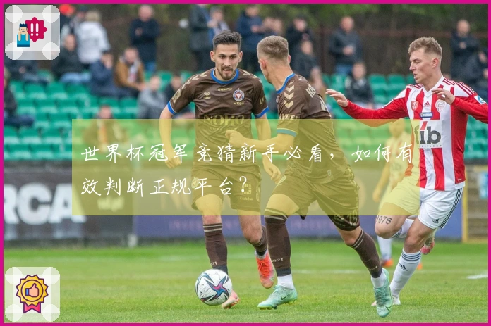 世界杯冠军竞猜新手必看，如何有效判断正规平台？