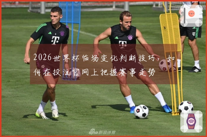 2026世界杯临场变化判断技巧,如何在投注官网上把握赛事走势