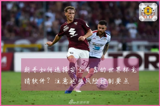 新手如何选择安全可靠的世界杯竞猜软件？注意这些风险控制要点