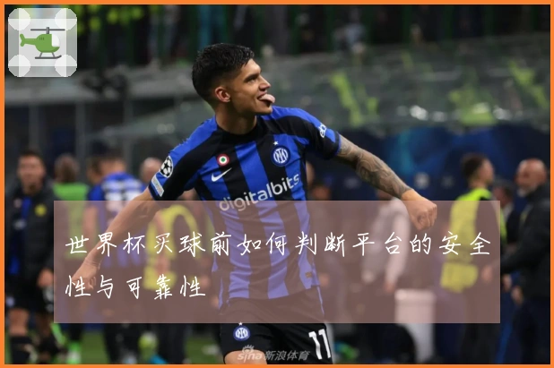 世界杯买球前如何判断平台的安全性与可靠性