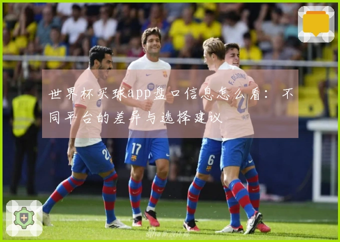 世界杯买球app盘口信息怎么看：不同平台的差异与选择建议