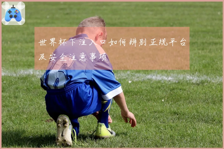 世界杯下注入口如何辨别正规平台及安全注意事项