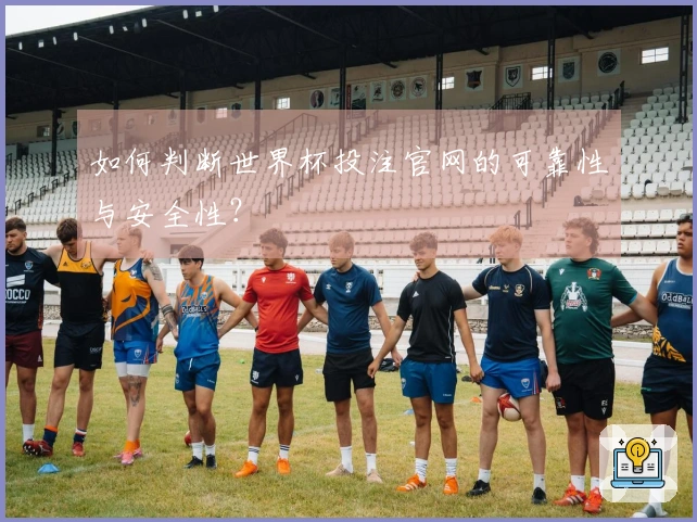 如何判断世界杯投注官网的可靠性与安全性？