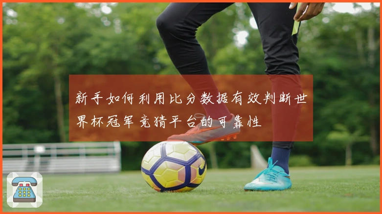 新手如何利用比分数据有效判断世界杯冠军竞猜平台的可靠性