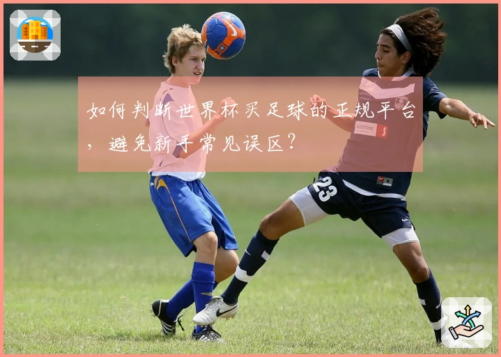 如何判断世界杯买足球的正规平台，避免新手常见误区？