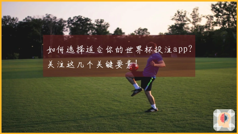 如何选择适合你的世界杯投注app？关注这几个关键要素！