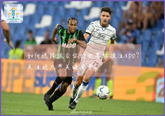 如何选择适合你的世界杯投注app？关注这几个关键要素！